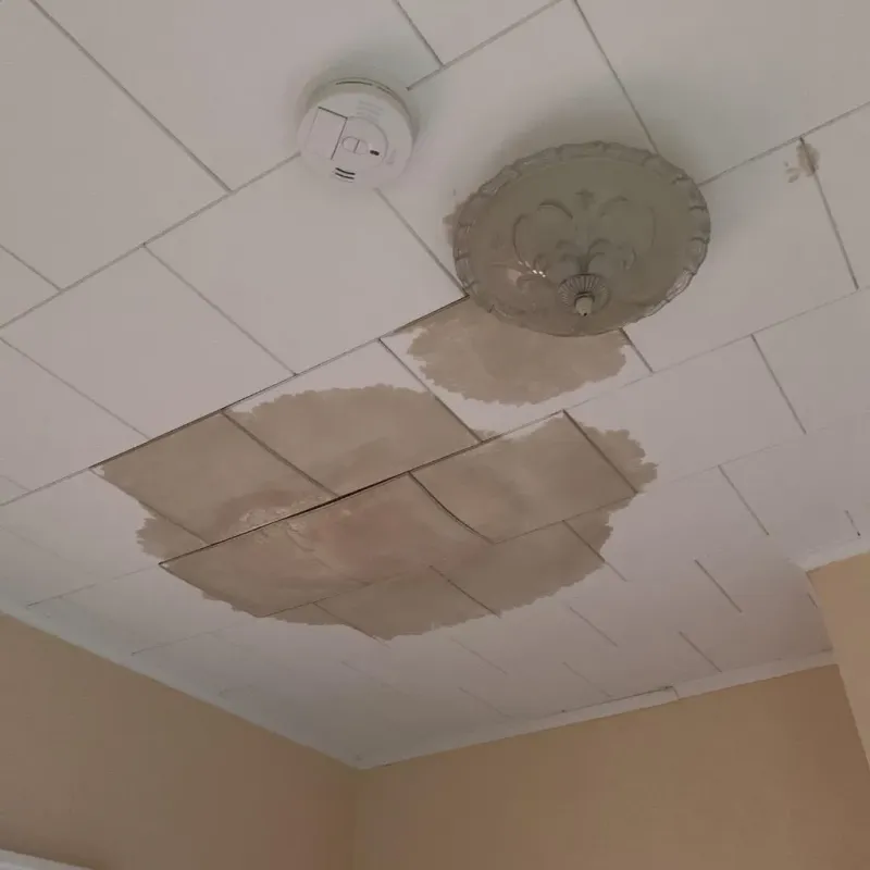 Ceiling Water Damage Repair in New Pekin, IN