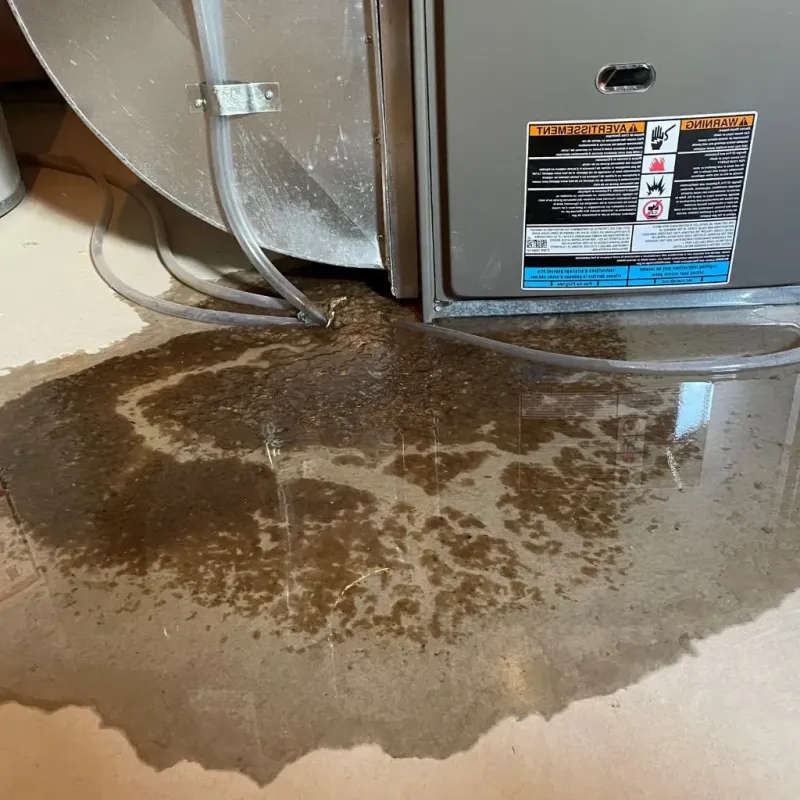 Pipe Burst and Leak Restoration in New Pekin, IN