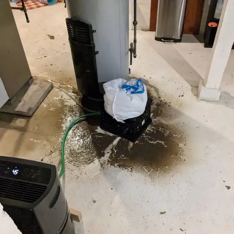 Sewage Backup Cleanup Service in New Pekin, IN